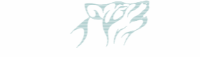 fond loup1.gif (3097 octets)