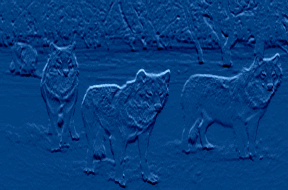 fond loup2.gif (25699 octets)