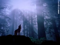 howl_200.jpg (6563 octets)