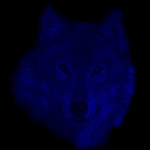 wolf2bk.jpg (7087 octets)