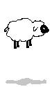 Sheep.gif (2211 octets)