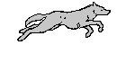 jlanimatedrunningwolf.gif (4467 octets)
