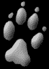Animpatte.gif (4626 octets)
