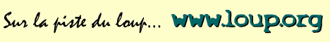 Wolf_banner.gif (17092 octets)